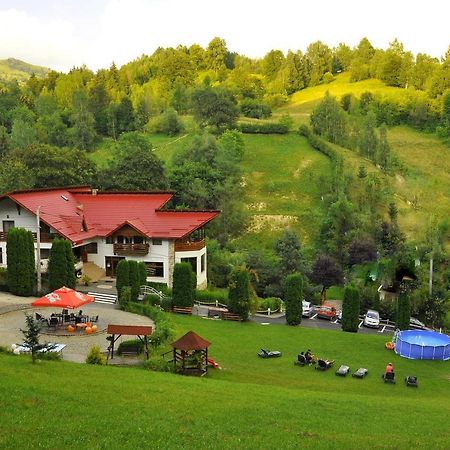 Pensiunea Eladi Borşa Esterno foto