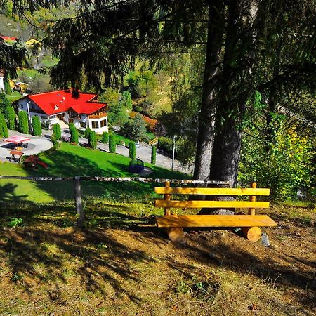 Pensiunea Eladi Borşa Esterno foto