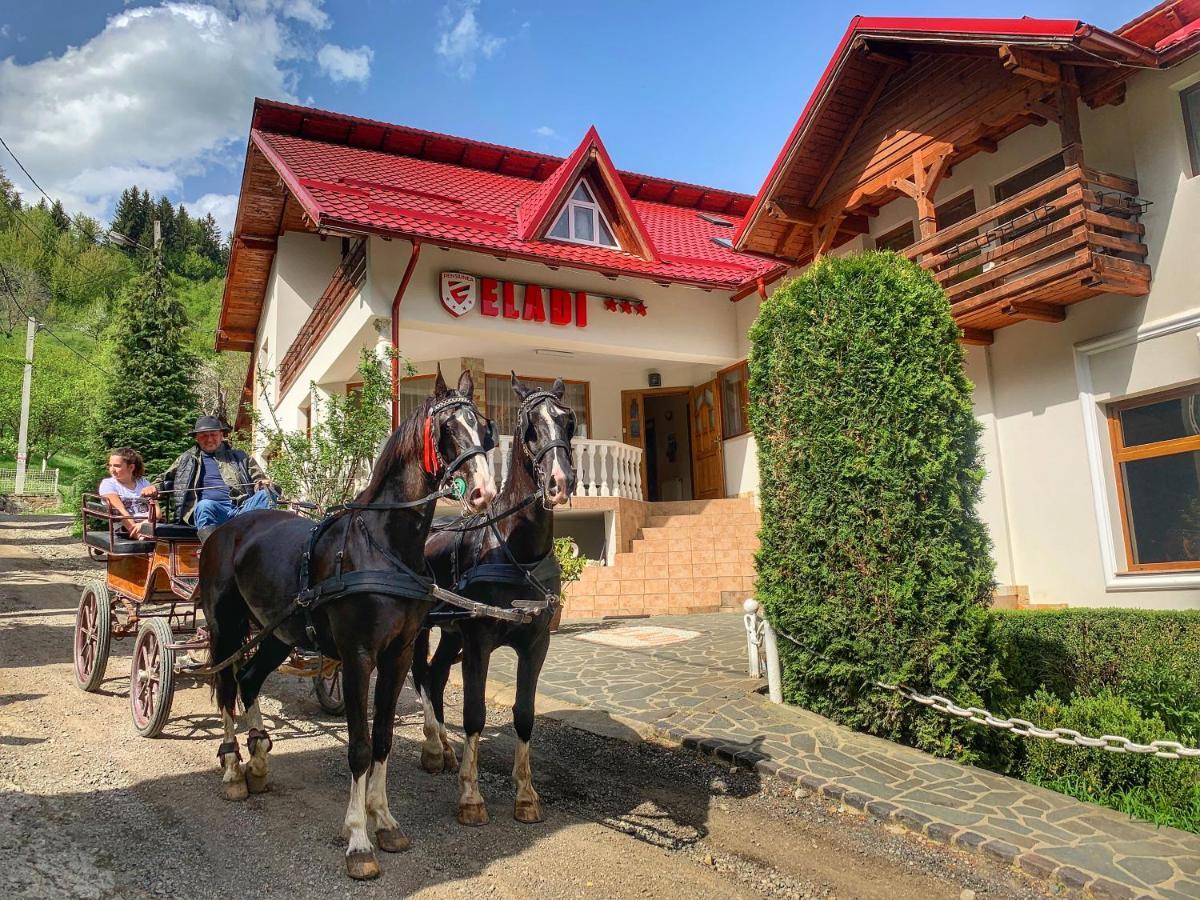 Pensiunea Eladi Borşa Esterno foto