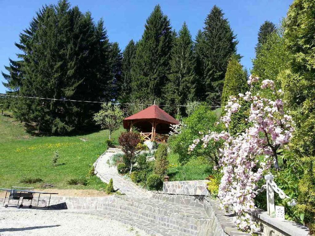 Pensiunea Eladi Borşa Esterno foto