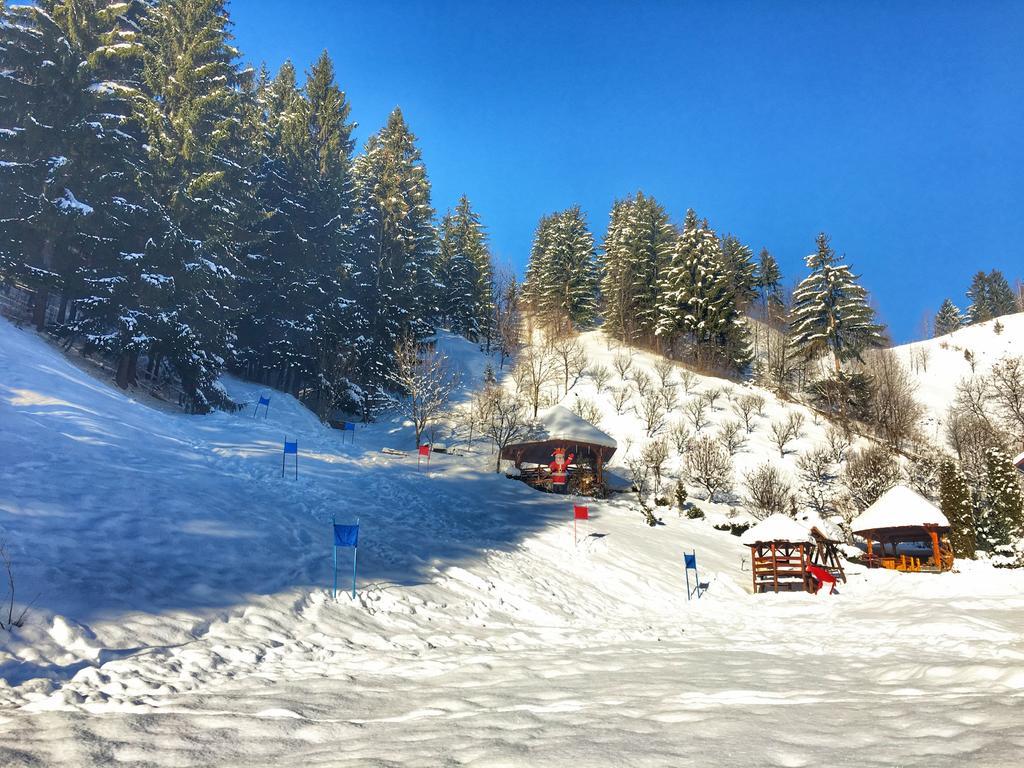Pensiunea Eladi Borşa Esterno foto
