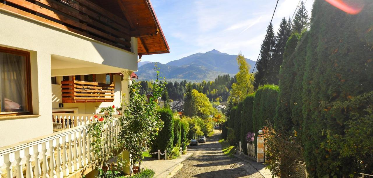 Pensiunea Eladi Borşa Esterno foto