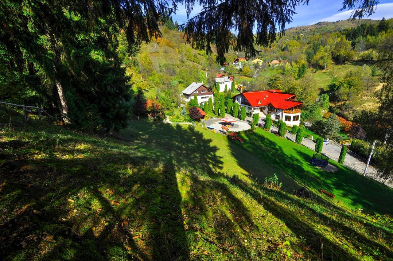 Pensiunea Eladi Borşa Esterno foto