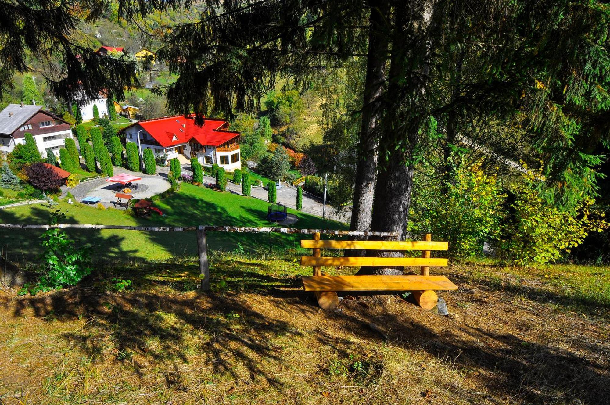 Pensiunea Eladi Borşa Esterno foto